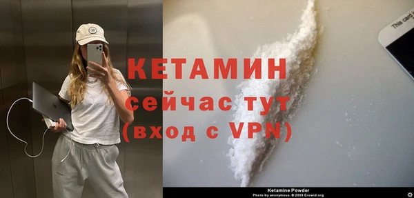 сатива Аша