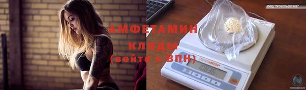 прущий лед Алзамай
